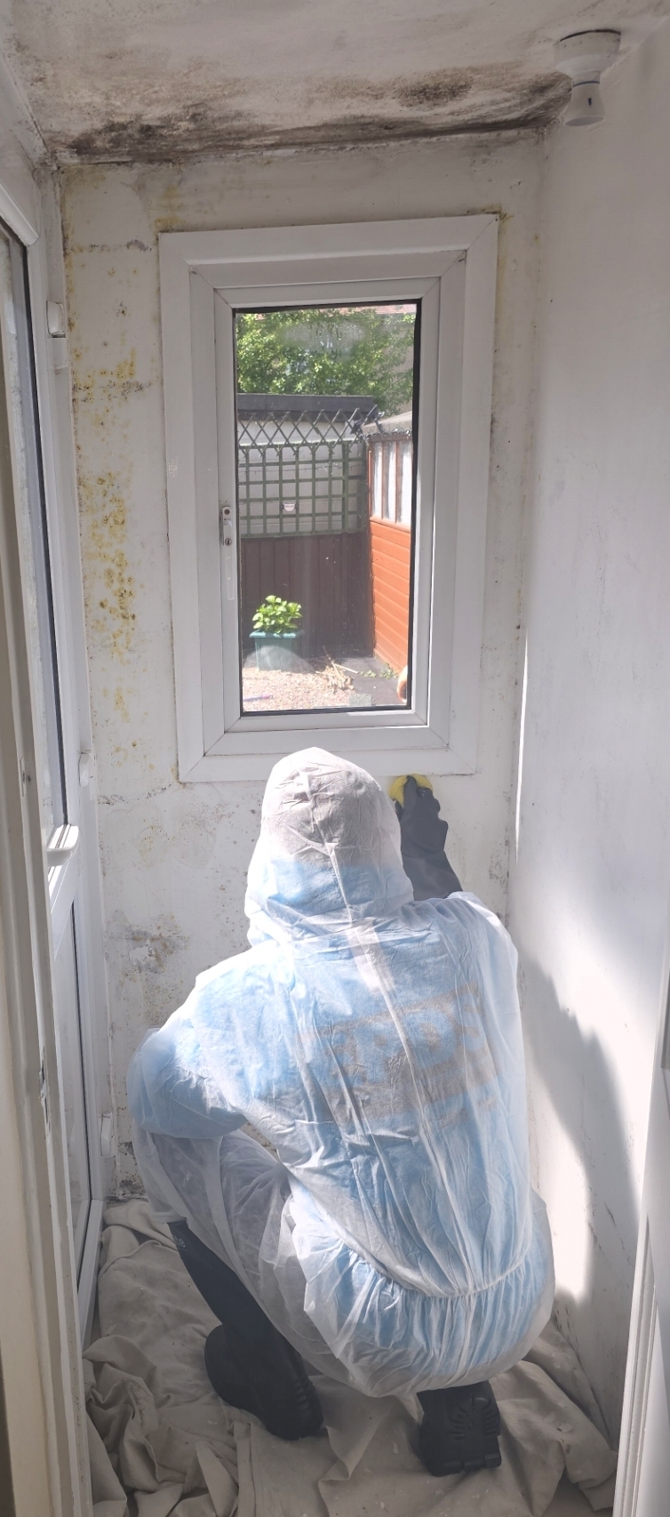 Mould wash & remediation